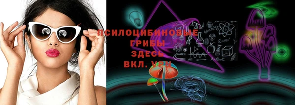 мяу мяу мука Арсеньев