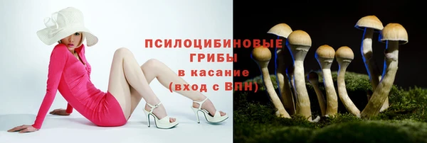 эйфоретик Семёнов