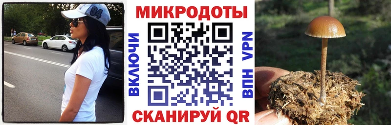 Галлюциногенные грибы ЛСД  Сольвычегодск 